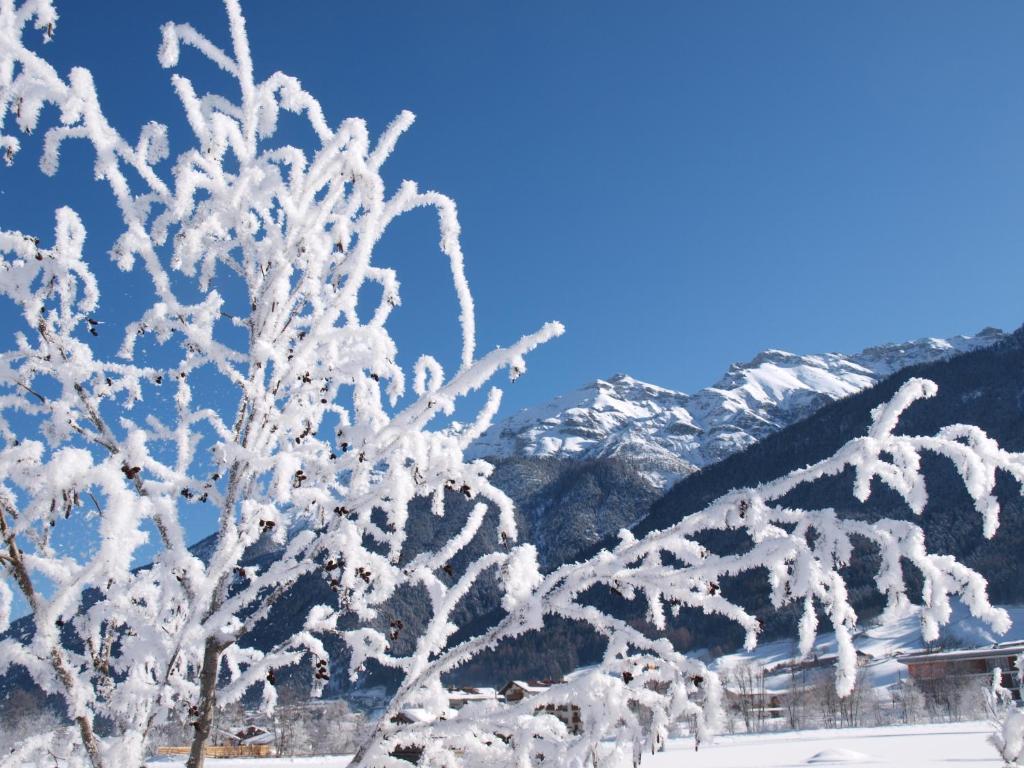 Ferienwohnung Mondial Neustift im Stubaital Eksteriør bilde